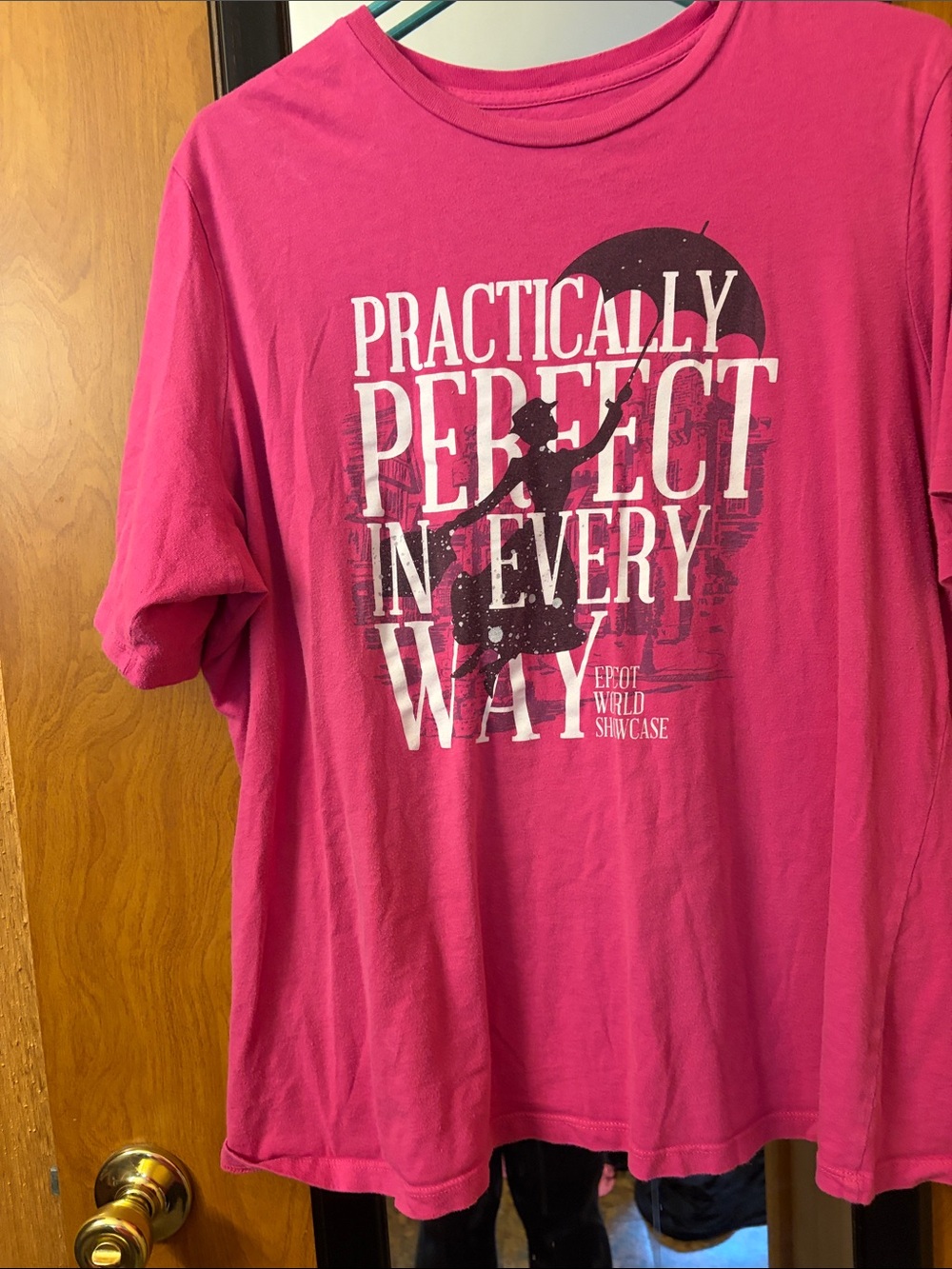 Disney Men’s Pink 'Practically Perfect in Every Way' Graphic T‑Shirt